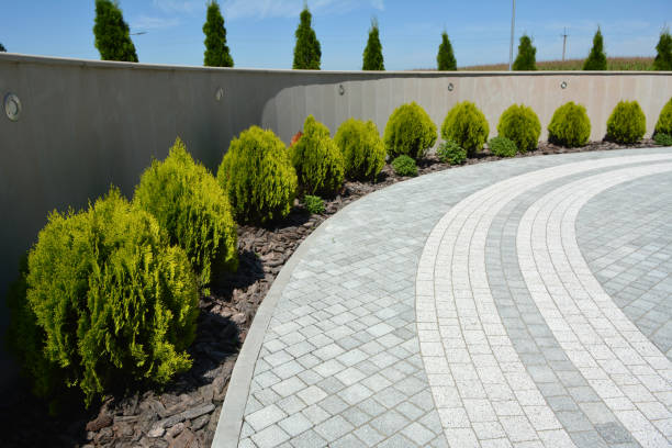Best Custom Driveway Pavers  in Ranlo, NC